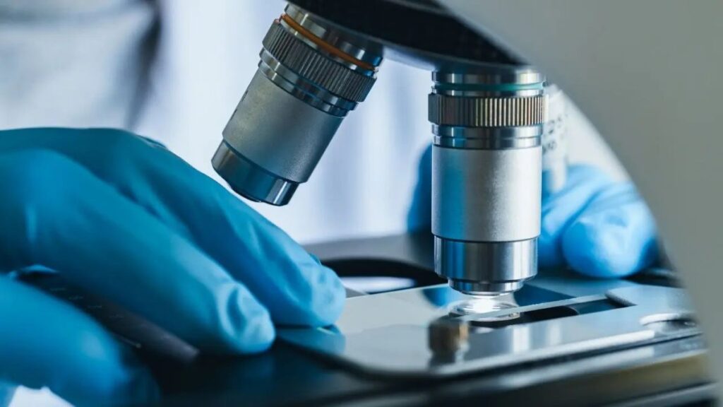 Mistyinfo.com Under the Microscope: What Sets It Apart from Competitors?