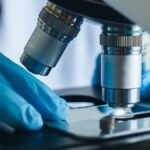 Mistyinfo.com Under the Microscope: What Sets It Apart from Competitors?